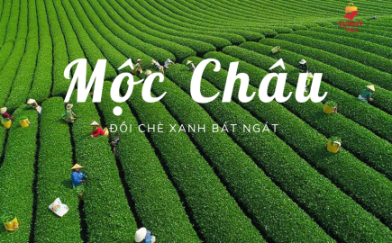 Moc Cha