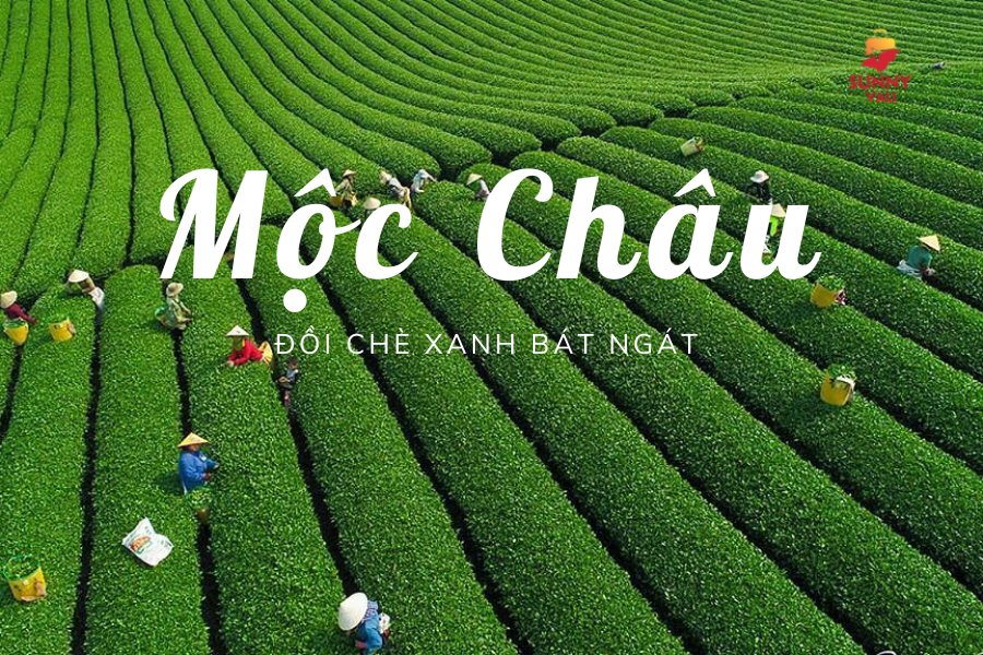 Moc Cha