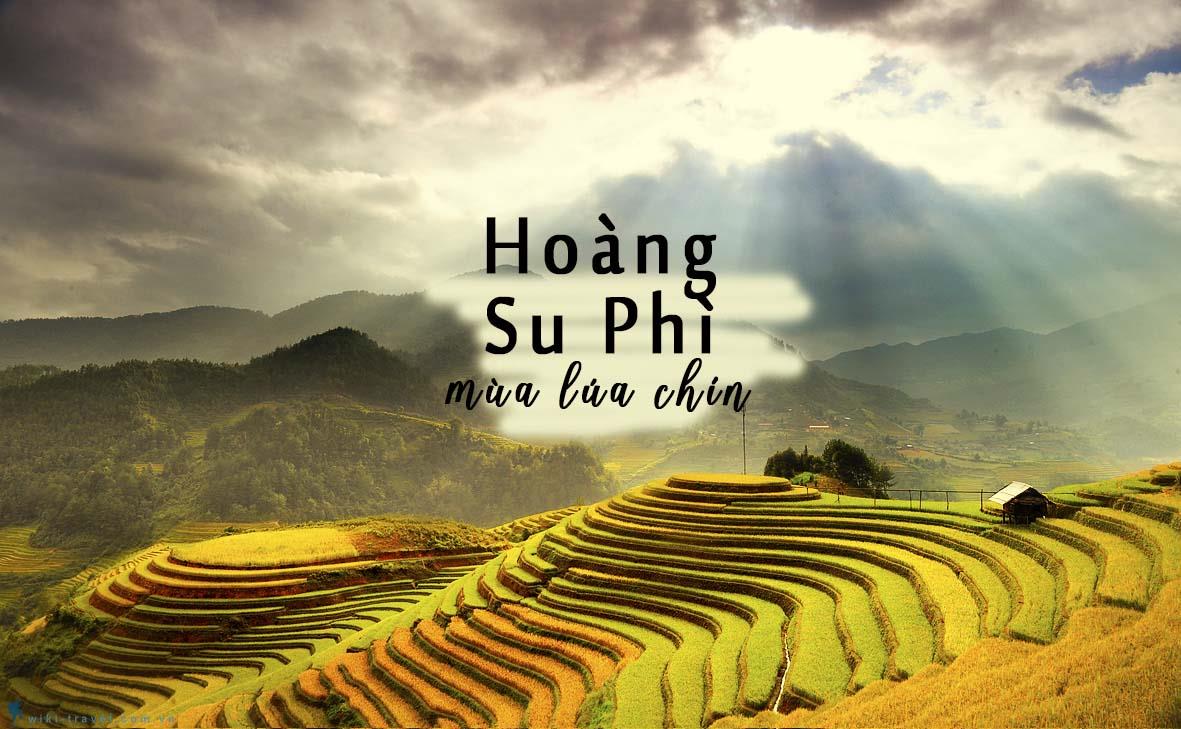 Hoang Su Phi