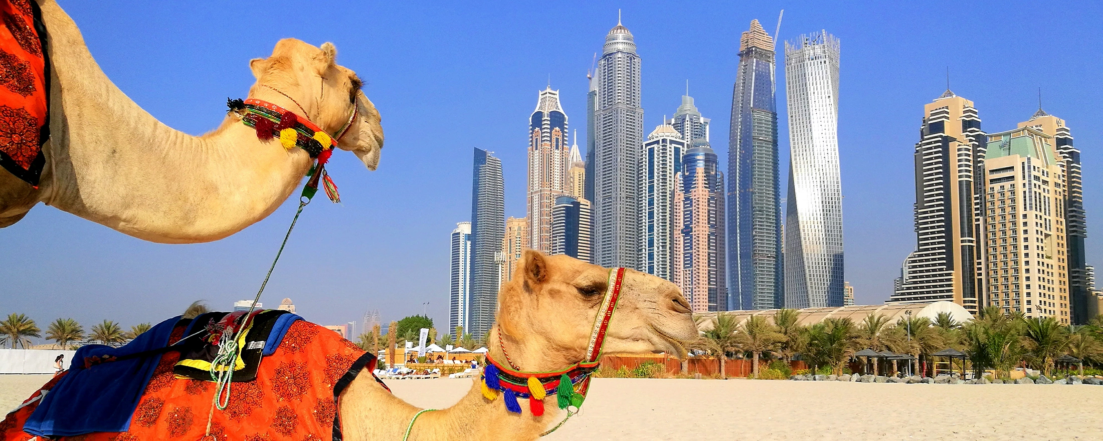 14 of the best things to do in Dubai - Times Travel