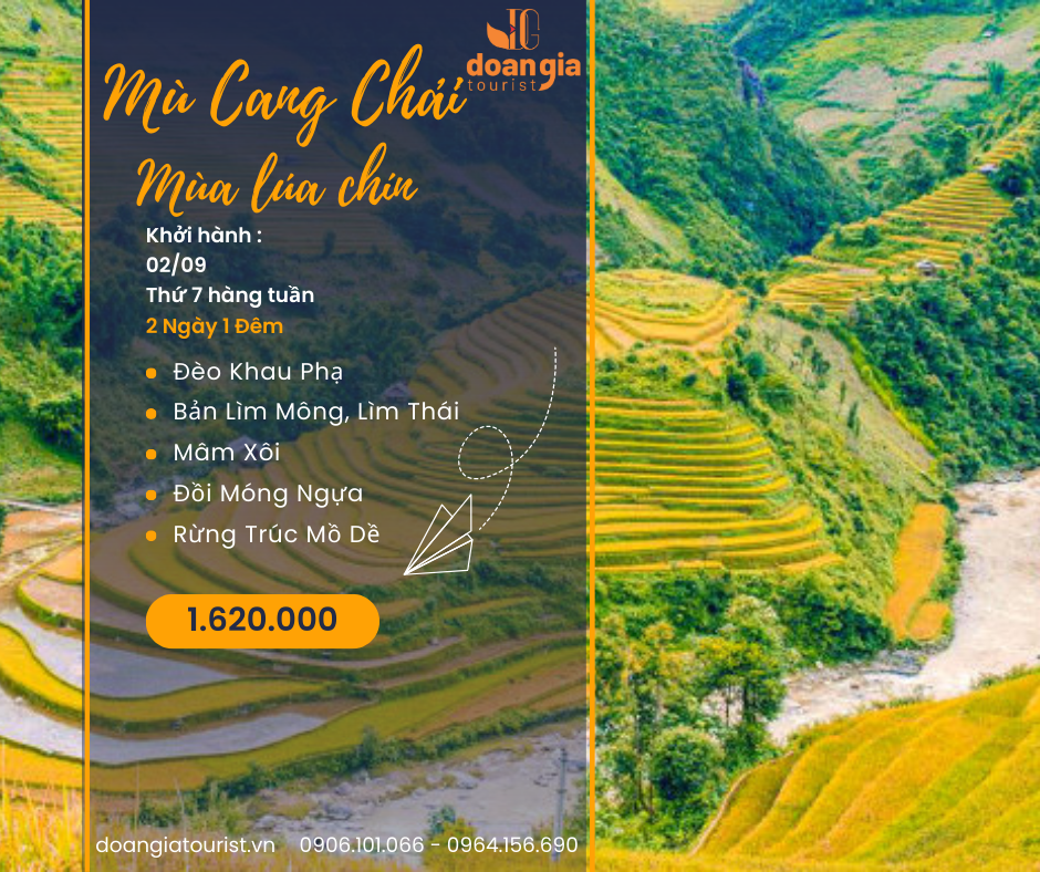 Tour MÙ Cang ChẢi MÙa LÚa ChÍn